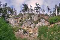 Rennell Sound, Queen Charlotte Islands, Haida Gwaii, British Columbia, Canada CM11-09