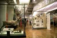 Royal Ontario Museum, (ROM), Toronto, Ontario CM11-013