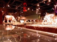 Royal Tyrrell Museum, Drumheller, Alberta, Canada 15