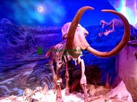 Highlight for Album: Royal Tyrrell Museum Photos,  Drumheller, Alberta, Canada, Dinosaurs, Badlands, Fossils, Alberta Stock Photos