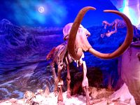 Royal Tyrrell Museum, Drumheller, Alberta, Canada 14