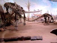 Royal Tyrrell Museum, Drumheller, Alberta, Canada 10