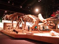 Royal Tyrrell Museum, Drumheller, Alberta, Canada 07