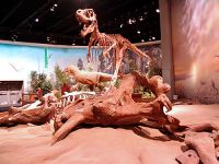 Royal Tyrrell Museum, Drumheller, Alberta, Canada 06