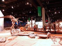 Royal Tyrrell Museum, Drumheller, Alberta, Canada 05 
