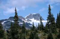 Salmon Glacier, Road Views, British Columbia, Canada CM11-10