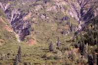 Stewart Region, British Columbia, Canada CM11-03