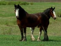 Along Highway Two, Saskatchewan, Canada 12