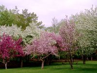 Wascana Park, Regina, Saskatchewan, Canada 08
