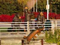 Sault Ste. Marie, Ontario, Canada 04