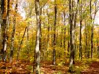 St Joseph Island, Ontario, Canada 10