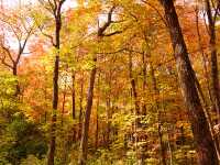 St. Josephs Island, Ontario, Canada 34