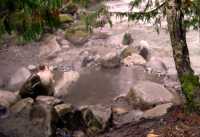 Sloquet Hot Springs, British Columbia, Canada CM11-001