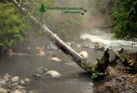 Highlight for Album: Sloquet Hot Springs, BC, November 2010, British Columbia Stock Photos