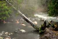 Sloquet Hot Springs, British Columbia, Canada CM11-003
