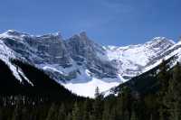 Spray Lakes Park, Kananaskis Country, Alberta, Canada CM11-003