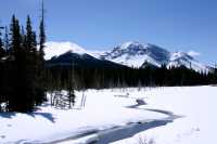 Spray Lakes Park, Kananaskis Country, Alberta, Canada CM11-011