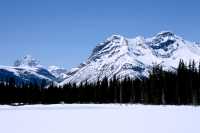 Spray Lakes Park, Kananaskis Country, Alberta, Canada CM11-014