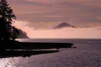 Porteau Cove, Squamish, British Columbia, Canada CM11-28