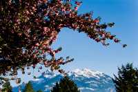 Squamish, British Columbia, Canada CM11-18