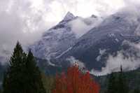 Squamish, British Columbia, Canada CM11-39