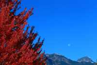 Squamish, British Columbia, Canada CMX-001