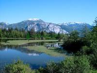 Highlight for Album: Squamish Estuary Photos, British Columbia Stock Photos
