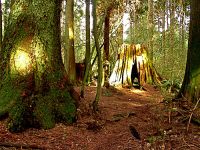 Stanley Park, Vancouver, British Columbia, Canada 06