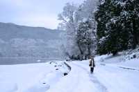 Stanley Park Seawall, Winter 2008, Vancouver, British Columbia, Canada CM11-09