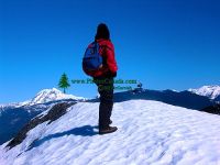 Highlight for Album: Stawamus Chief Park Photos, Squamish, British Columbia Stock Photos

