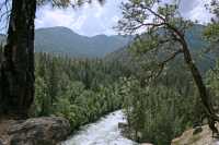 Stein Valley Provincial Park, British Columbia CM11-03