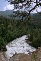 Highlight for Album: Stein Valley Provincial Park Photos, Texas Creek Road, British Columbia Stock Photos