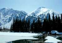 Along Cassiar Highway 2009, Northern British Columbia, Canada CM11-04