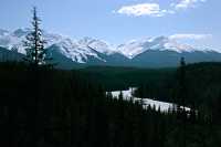Along Cassiar Highway 2009, Northern British Columbia, Canada CM11-05