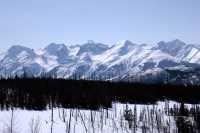 Along Cassiar Highway 2009, Northern British Columbia, Canada CM11-07