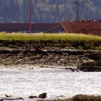 Squamish-Oil-Spill-Aftermat.jpg