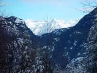 gallery_winter2.jpg