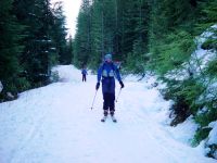 skiing_crosscountry.jpg