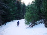 skiing_crosscountry2.jpg