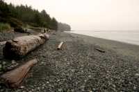 French Beach, Vancouver Island CM11-01