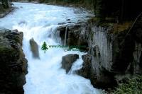 Highlight for Album: Sunwapta Falls Photos, Icefields Parkway Photos, Jasper National Park of Canada Photos, Alberta, Canada, Canadian Rockies, Canadian National Parks Stock Photos