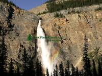 Highlight for Album: Takakkaw Falls, Yoho National Park, British Columbia, Canada