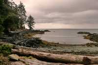 Bill Reid Burial Site, Tanu, T'aanuu Lnagaay, Sitka Spruce, Haida Heritage Site, Gwaii Haanas National Park,   British Columbia, Canada CM11-15