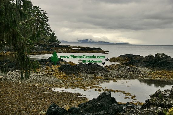 Tanu, T'aanuu Lnagaay, Laskeek Bay, Haida Heritage Site, Gwaii Haanas National Park,   British Columbia, Canada CM11-03