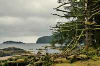 Tanu, T'aanuu Lnagaay, Laskeek Bay, Haida Heritage Site, Gwaii Haanas National Park,   British Columbia, Canada CM11-04