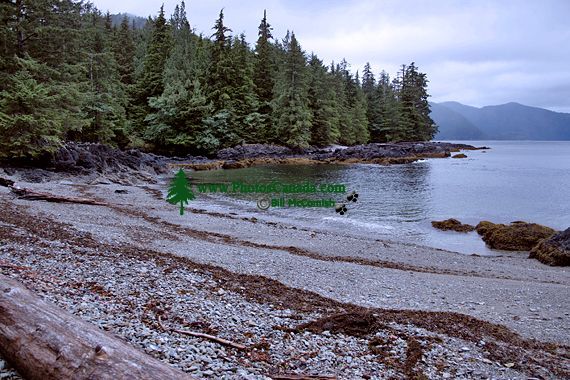 Tanu, T'aanuu Lnagaay, Laskeek Bay, Haida Heritage Site, Gwaii Haanas National Park,   British Columbia, Canada CM11-01