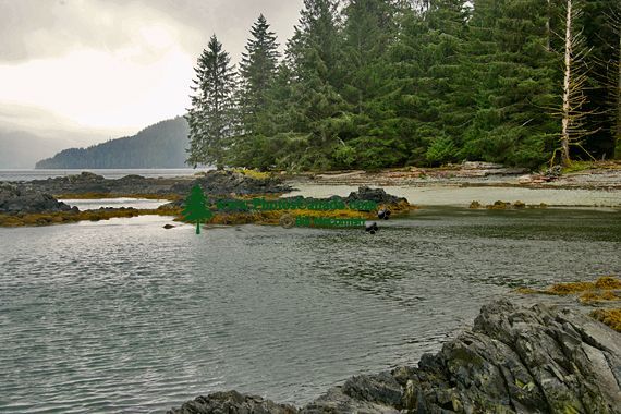 Tanu, T'aanuu Lnagaay, Laskeek Bay, Haida Heritage Site, Gwaii Haanas National Park,   British Columbia, Canada CM11-06