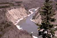 Stikine River, Telegraph Creek Road, Northwest British Columbia CM11-18