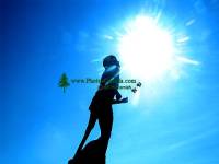 Highlight for Album: Terry Fox Monument (Images Not For Sale)