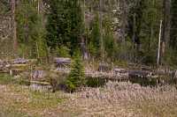 Along Highway 5, British Columbia, Canada CM11-07